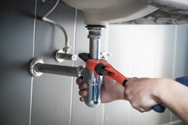 Best Commercial Plumbing Services  in South Haven, MI